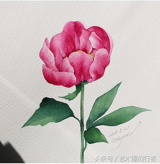 适合初学者临摹的水彩花卉分享