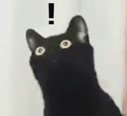 黑猫沙雕表情包分享 长脖子黑猫表情包