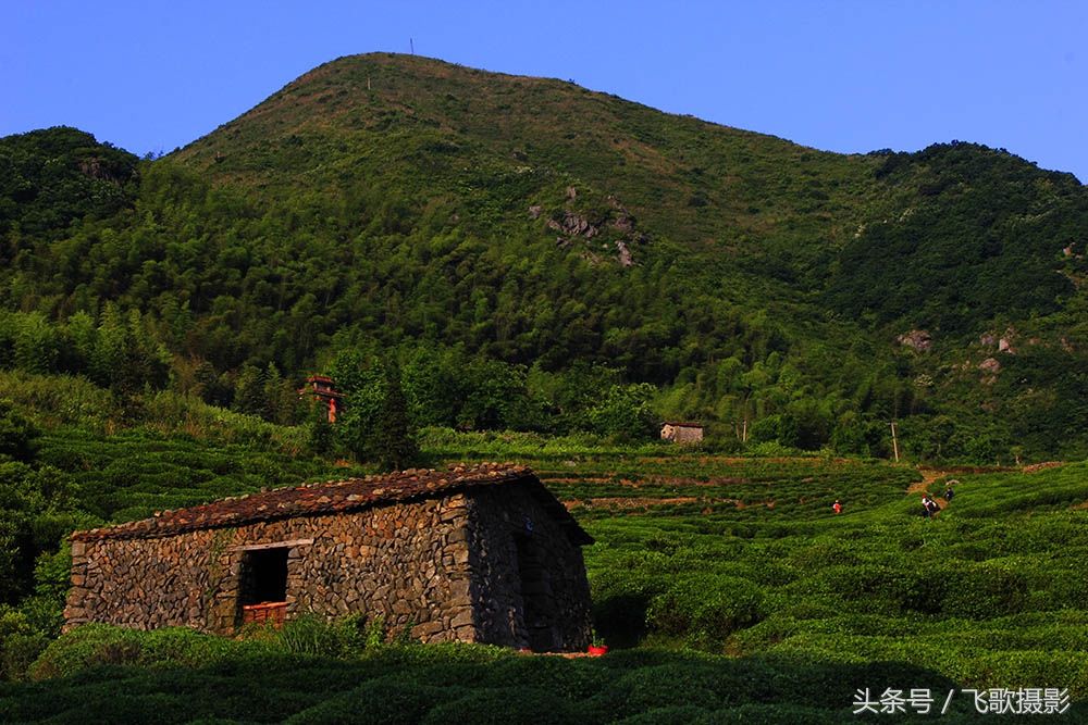 一位美女在江西丰城市罗山采风,拍到的东西令她大惊,她决定