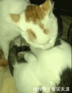 大四妹子,最近有事返校,大二师弟来接我,从下车那刻就不停有人给我打