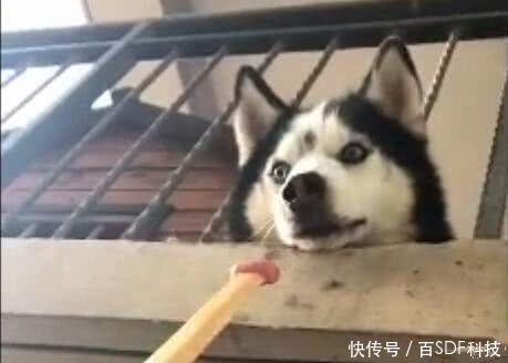梦境探秘，梦见别人带我去他楼上看房子的深层含义