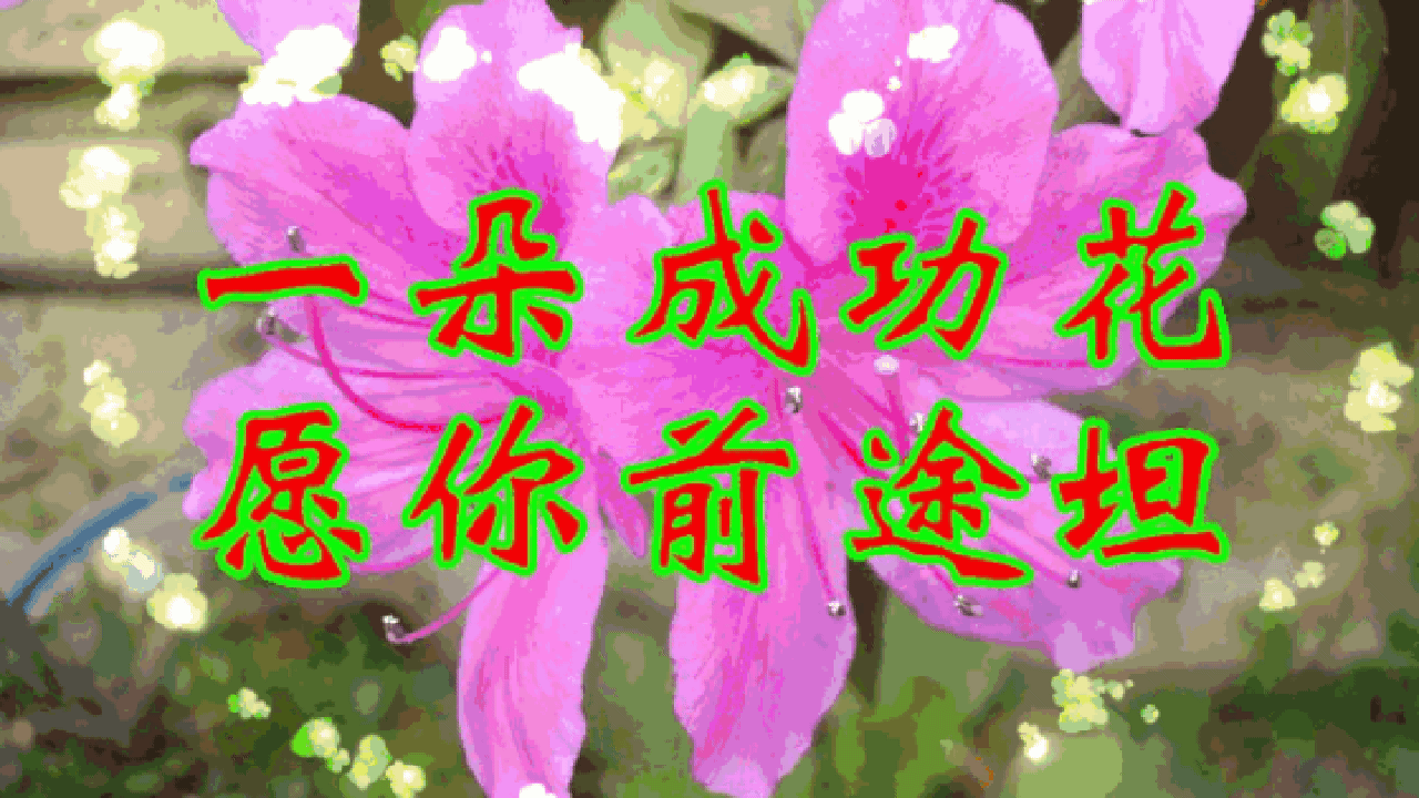 送你一朵成功花,愿你前程锦绣.