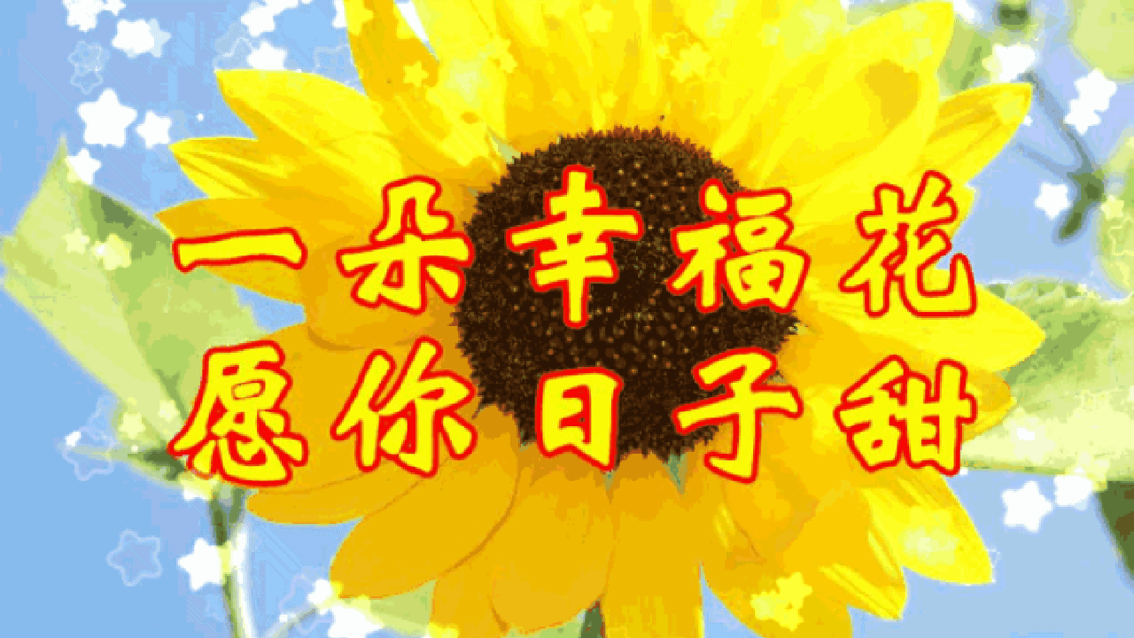 早晨安好!送你八朵祝福花,愿你一天到晚乐开花