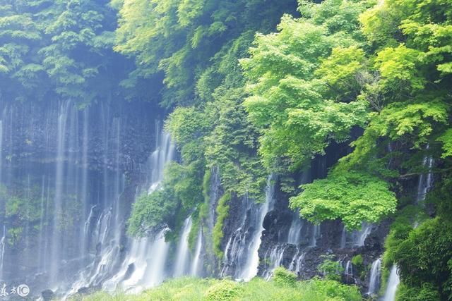 恭祝发财,几天之后财神降福,几大生肖能发横财,顺心如意
