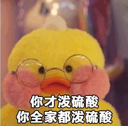 一副摄人心魄的网红脸 这是最近在韩国的ins里火起来的鸭子 长着一双