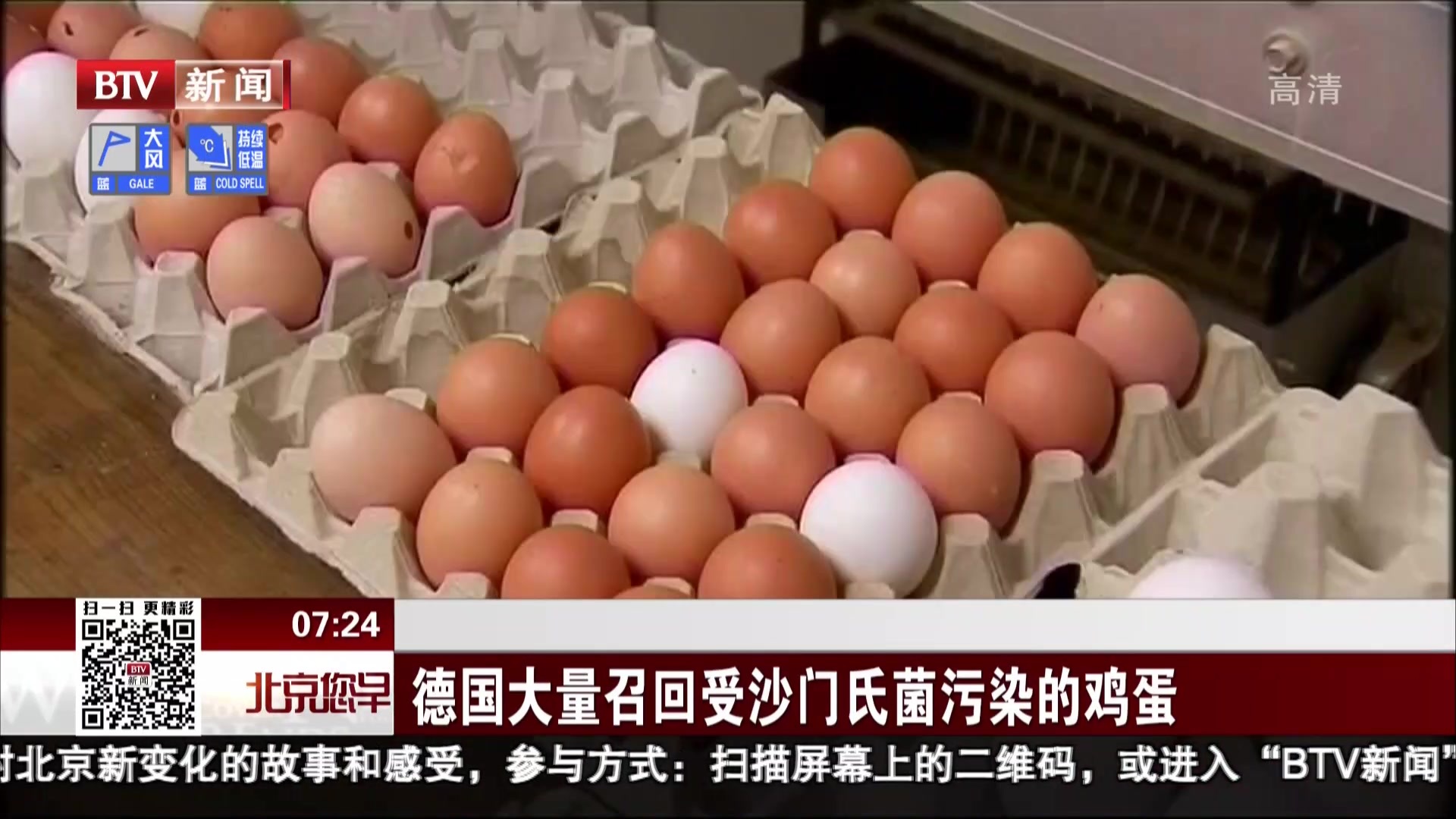 德国大量召回受沙门氏菌污染的鸡蛋