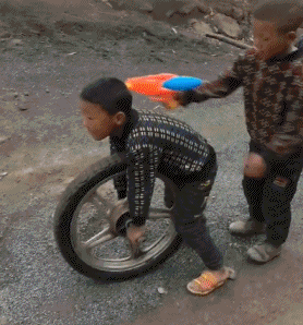 壁纸 动物 狗 狗狗 278_298 gif 动态图 动图