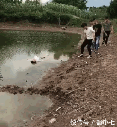 爆笑gif:大哥,你的假动作太厉害了,骗过了所有人