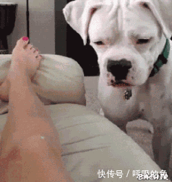 搞笑gif:姑娘,别闹了什么事情把你打击整成这样了