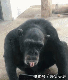 搞笑gif:看把你能的,不就怀个孕嘛!