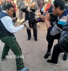 巅峰对决,谁先停谁输,这表情也没谁了