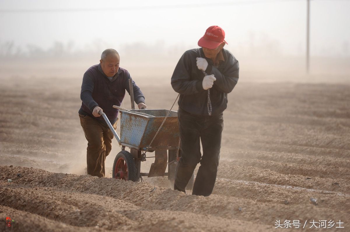 "男子介绍,"他们外地人在这里包地,用的人工都