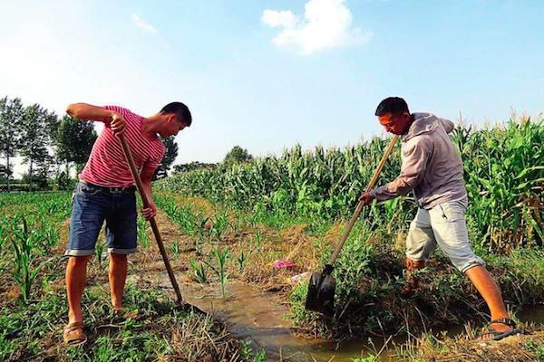 为什么农民干活的时候习惯在手上吐唾沫?