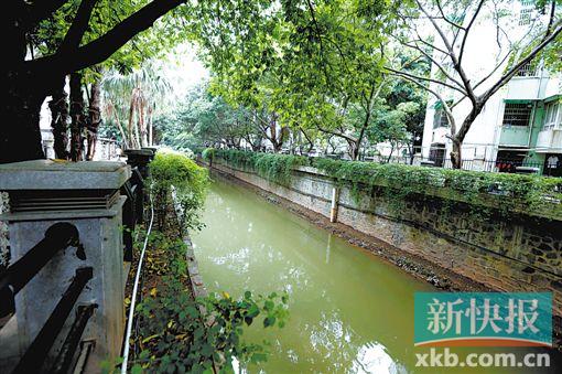 关心家门口的河涌 广州的"民间河长"们在行动