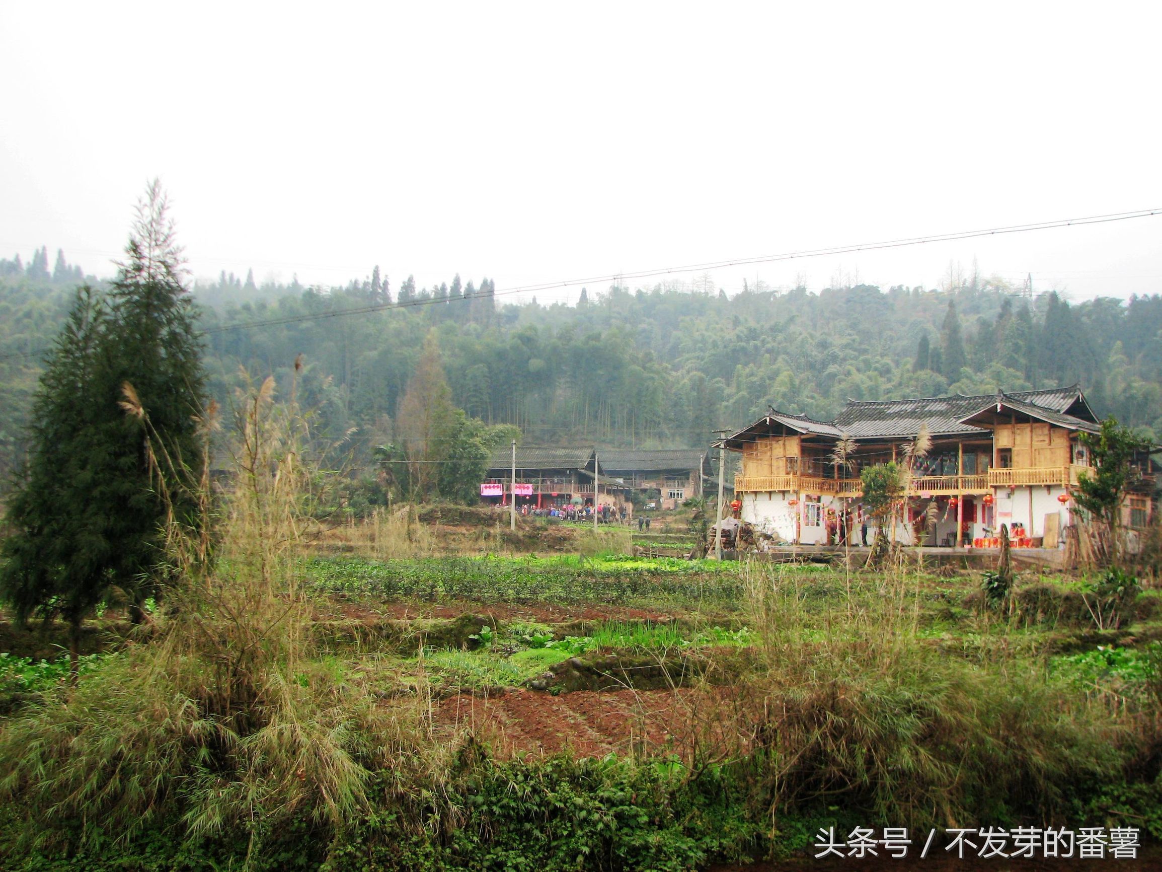 实拍:四川农村办酒席,下雨天也不影响热闹气氛