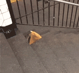 搞笑gif:结果我万万没想到啊还是被坑了!