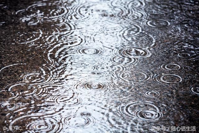 清晨的雨,下个不停