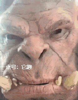 搞笑gif:真正的海景房,果然名不虚传!