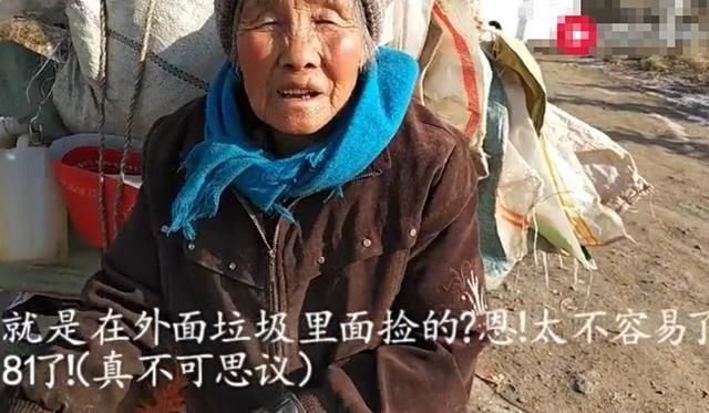 81岁农村老奶奶捡垃圾挣钱,被问一天能挣多少钱?回答让人诧异!