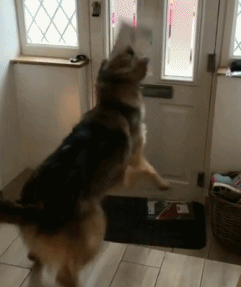 搞笑gif:孩子他爸你这选的地方真是不好了,要体验下吗