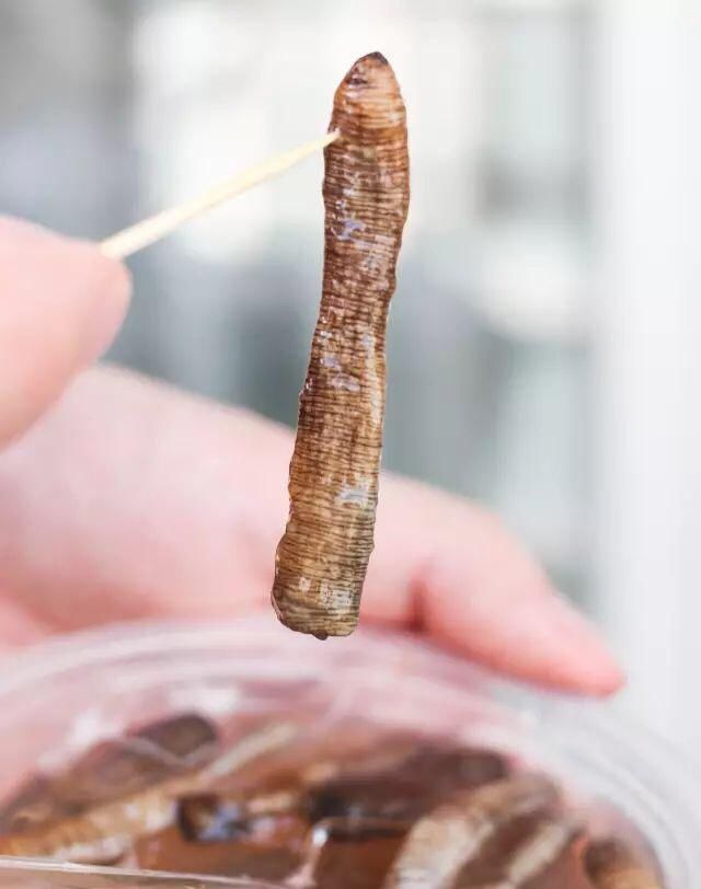 舌尖上的