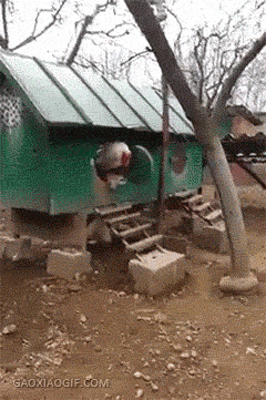 内涵段子:你在座便器上涂点洗洁精就好了?