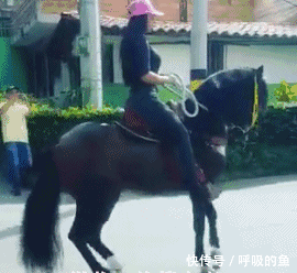 搞笑gif:给大家介绍一下,这是不知火舞的弟弟,不知