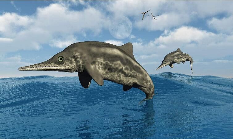 新西兰大鱼龙:体长38米,重405.8吨,有史以来最大的动物