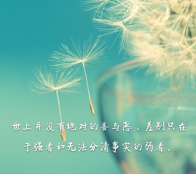 人生心累多于身累,心累重于身累,心累困于身累(深度美文)