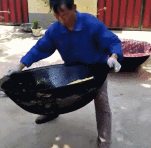 搞笑gif图:妹子~你这表情感觉摸到了什么?