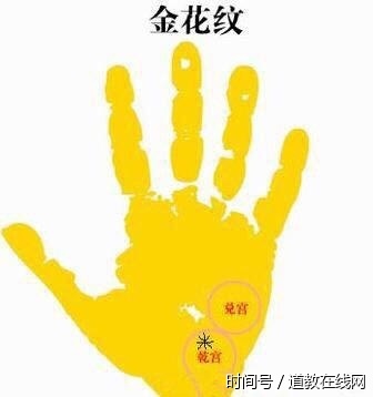 手有"金花印纹"无论男女,中年后都可创造辉煌的成就