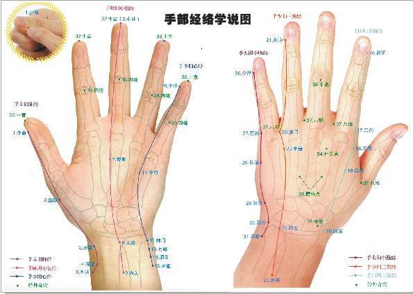手部有6条经脉循行,与全身各脏腑,组织,器官密切相关,那么要如何运用