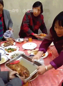 搞笑gif: 民间称黄皮子,道家称黄大仙,咬死我10多只鸽子!在线等