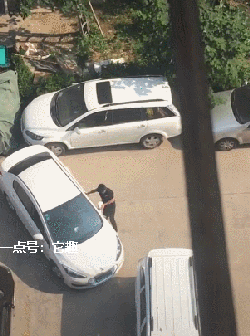 搞笑gif:摄影师和新郎才是一对,新娘是多余的!