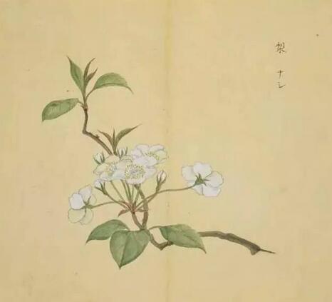 朱自清谈多人:一人的智慧,机锋的表情诗经器动态v多人图片包图片