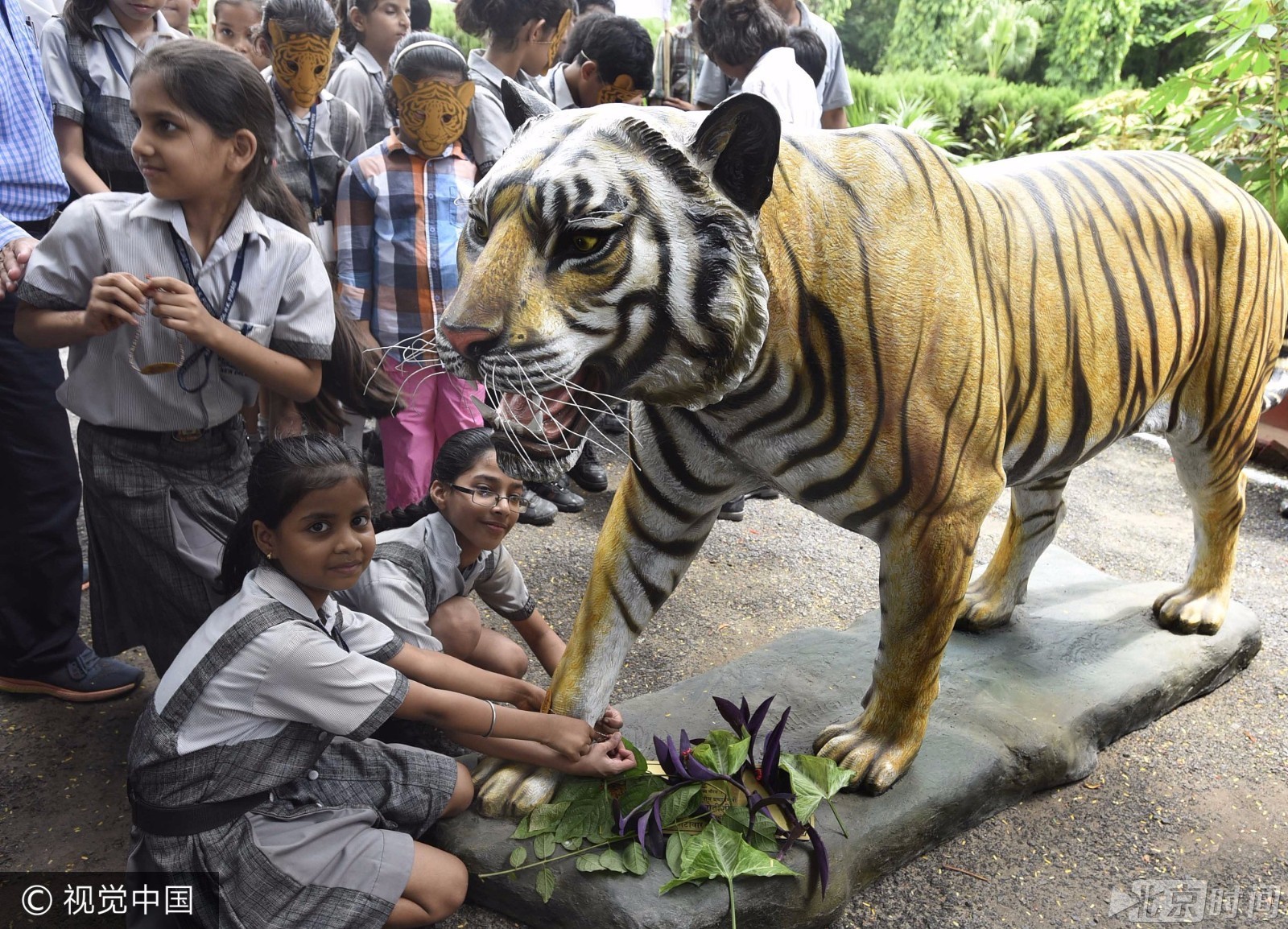 当地时间2017年7月29日,印度新德里,国际老虎日,动物园里的老虎.