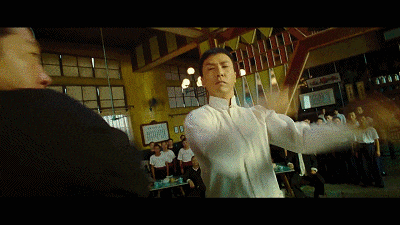 当然,这也是机率为零的假设,只是作为武术娱乐爱好者的痴人说梦罢了.