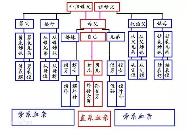 男子热恋多年女友竟是"姑姑" 专家详解婚姻法三代近亲