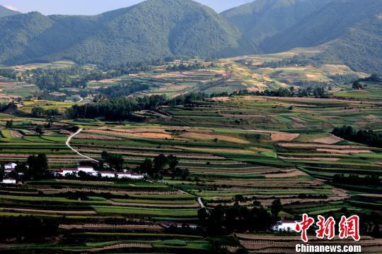 7月,甘肃渭源县麻家集镇路西村郭家山社在麦垛掩映下景致如画.