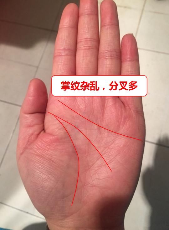 手上有这种纹路,财运极好,事业有成