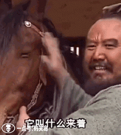 搞笑gif动图:小铲屎官是我罩着的,狗子你敢动本皇的御用奴才?