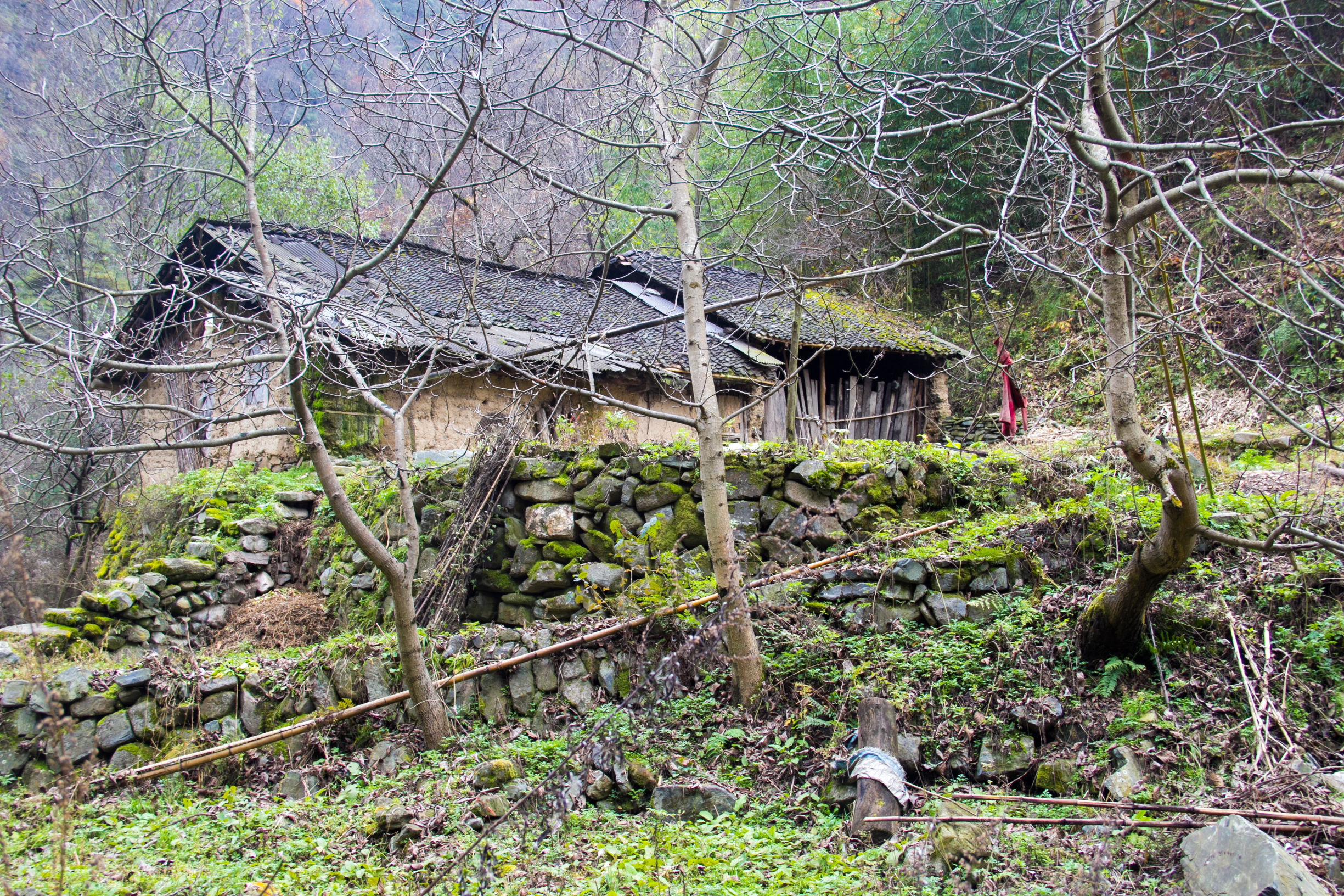 秦岭柞水红火村|屋檐下虽挂着两把高粱,这栋房子难道还有人住?