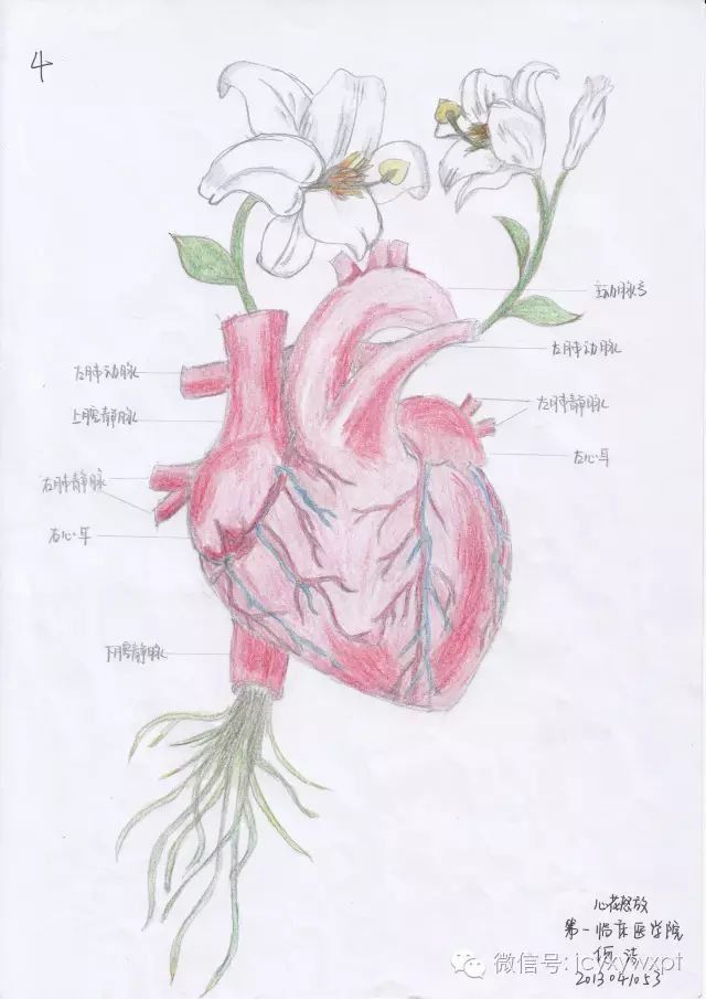 2016级法医学专业的李颖为自己的手绘作品起名为《树肺》,作品中一片