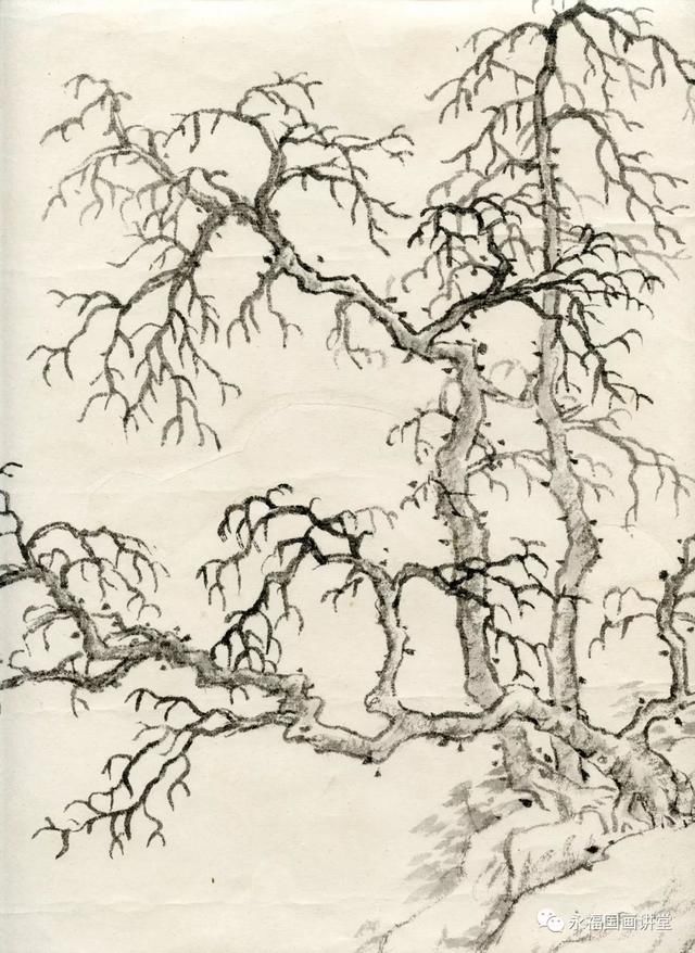 写意山水画教程:6分钟教你画漠漠寒林