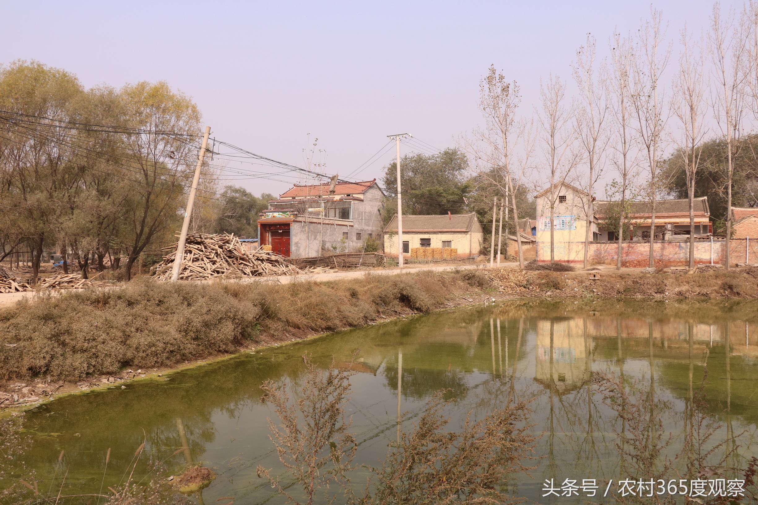 山东省菏泽市曹县韩集镇一普通村庄