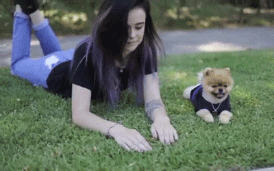 全球搞笑gif:不就区区一台兰博坚尼,妹子你至于连自尊