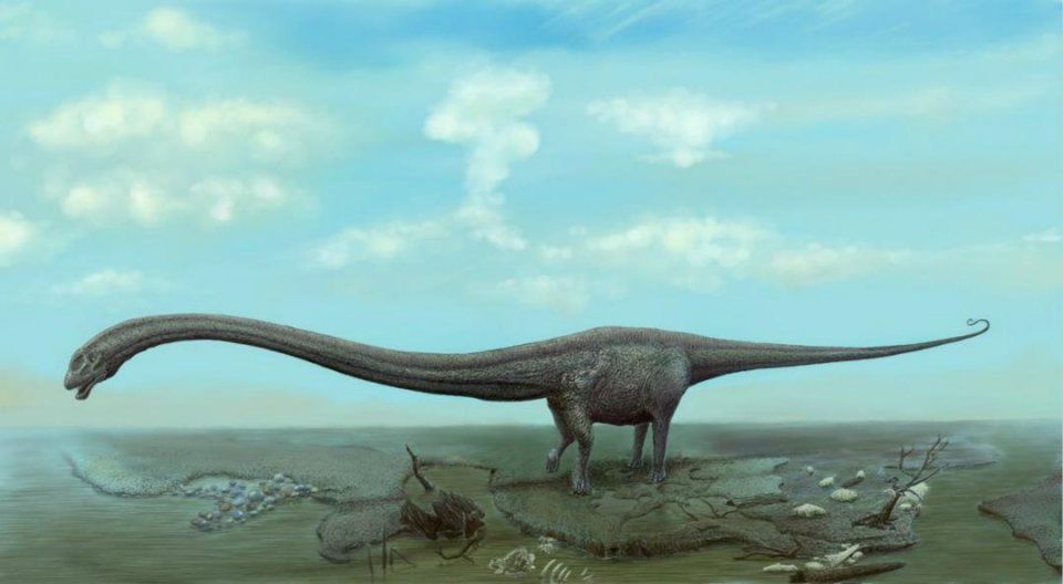 恐龙时代体型巨无霸,光是头部高度就有15米,体重更是重达220吨
