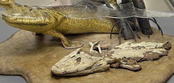 泥盆纪10大最恐怖的生物,第一地球史上最凶猛,第六现在还存活着