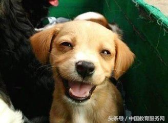 只要笑一笑,没什么大不了