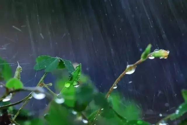处暑以后,赏雨如赏美人,只温婉动人.